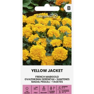 Тагетес Йелоу Джакет / Tagetes patula Yellow Jacket