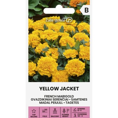Тагетес Йелоу Джакет / Tagetes patula Yellow Jacket