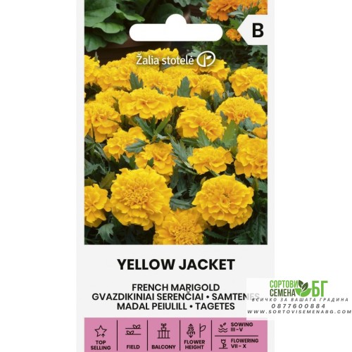 Тагетес Йелоу Джакет / Tagetes patula Yellow Jacket Тагетес Йелоу Джакет / Tagetes patula Yellow Jacket