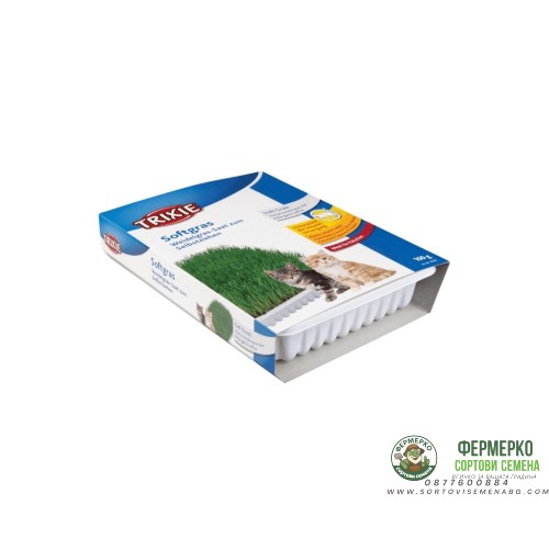 Трева за котки от ечемичени семена в тарелка Trixie - 100 гр