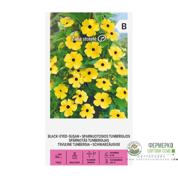 Тунбергия Чернооката Сюзън  Black eyed Susan
