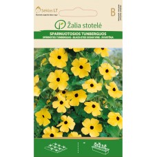 Тунбергия Чернооката Сюзън Thunbergia alata Bojer ex Sims Black eyed Susan