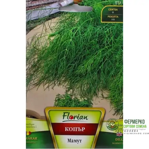 Копър Мамут