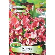 Латирус Американа Lathyrus odoratus