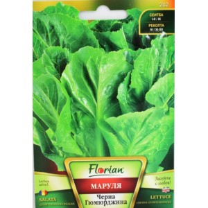 Маруля Черна Гюмюрджина