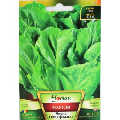 Маруля Черна Гюмюрджина