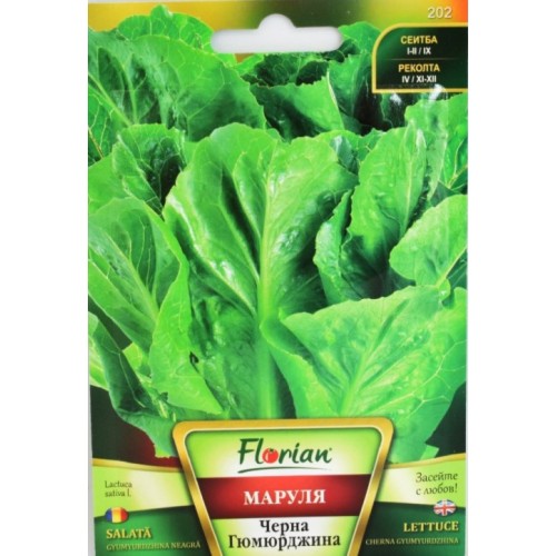 Маруля Черна Гюмюрджина Маруля Черна Гюмюрджина