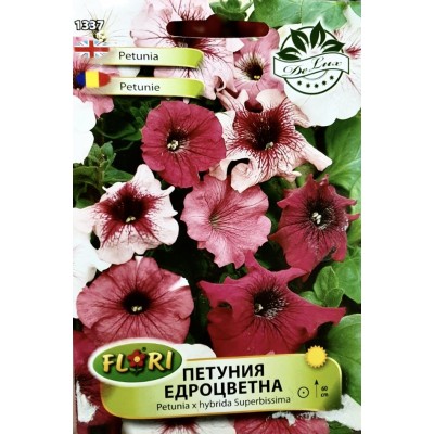Петуния едроцветна/ Petunia x hybrida Superbissima