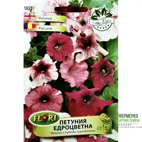 Петуния едроцветна/ Petunia x hybrida Superbissima