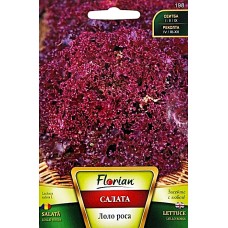 Салата Лоло Роса