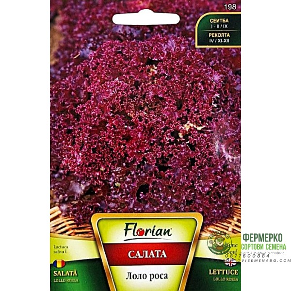 Салата Лоло Роса