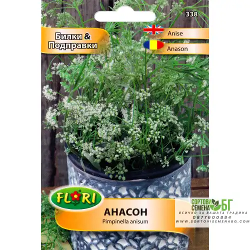 Анасон / Pimpinella anisum