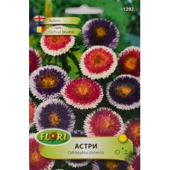 Астри Двуцветни