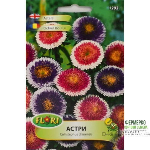 Астри Двуцветни