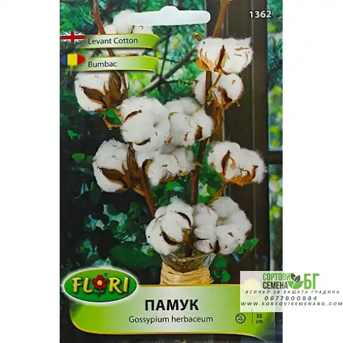 Бял памук / Gossypium herbaceum
