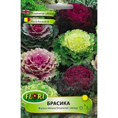 Брасика, Декоративно зеле