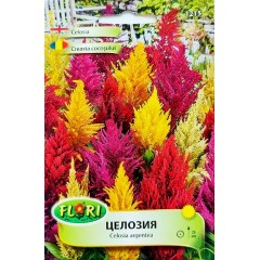 Целозия микс