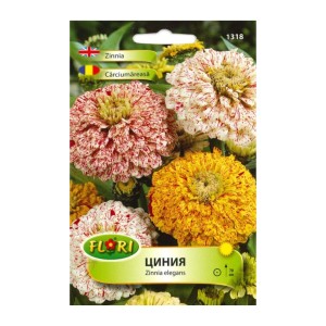Циния Пеперминт стик / Zinnia elegans