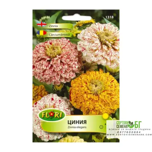 Циния Пеперминт стик / Zinnia elegans