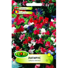 Декоративен грах, Латирус нисък