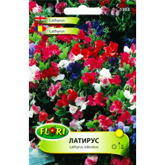 Декоративен грах, Латирус нисък