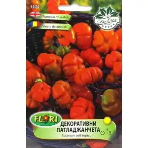 Декоративни патладжанчета