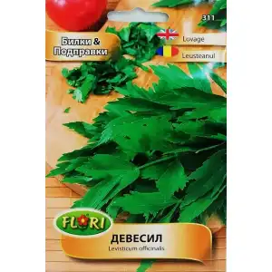 Девисил / Levisticum officinale
