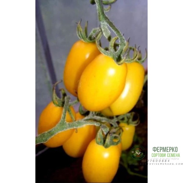 Домати Тайко Домати Тайко