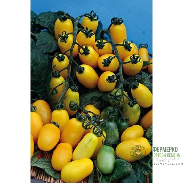 Домати Тайко Домати Тайко