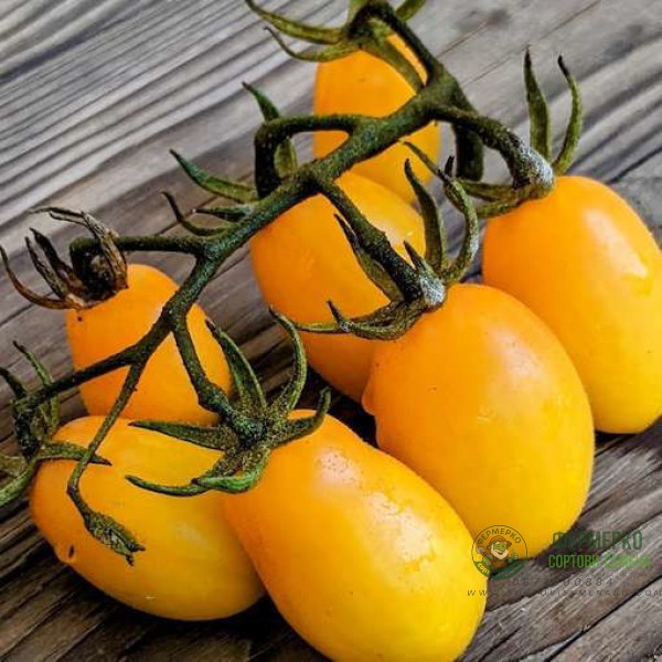 Домати Тайко Домати Тайко