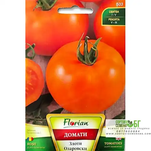 Домат Злоти Озаровски Домат Злоти Озаровски