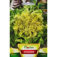 Ендивия
