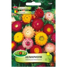 Хелихризум