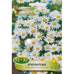 Семена за бяла Хризантема