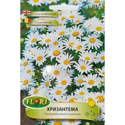 Семена за бяла Хризантема