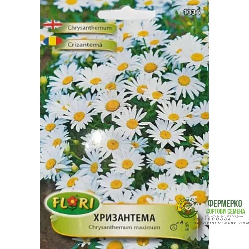 Семена за бяла Хризантема