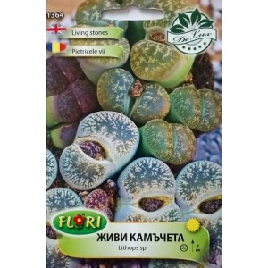 Живи камъчета / Lithops sp.