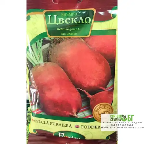 Кръмно цвекло Кръмно цвекло