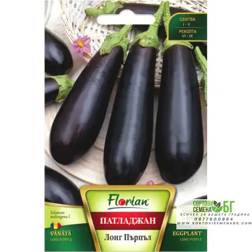Патладжан Лонг Пърпъл Патладжан Лонг Пърпъл