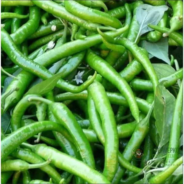 Пипер Цигарете Бергамо