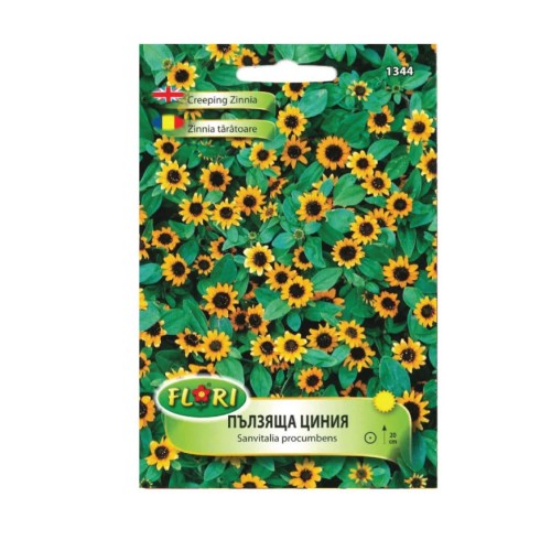 Пълзяща Циния / Sanvitalia procumbens