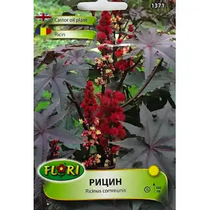 Рицин / Ricinus mixed