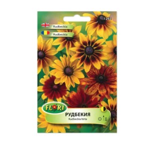 Рудбекия / Rudbeckia hirta