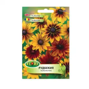Рудбекия / Rudbeckia hirta