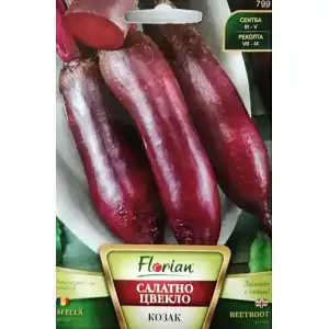 Салатно цвекло Козак