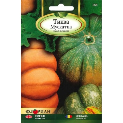 Тиква Мускатна