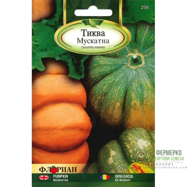 Тиква Мускат Ди Прованс