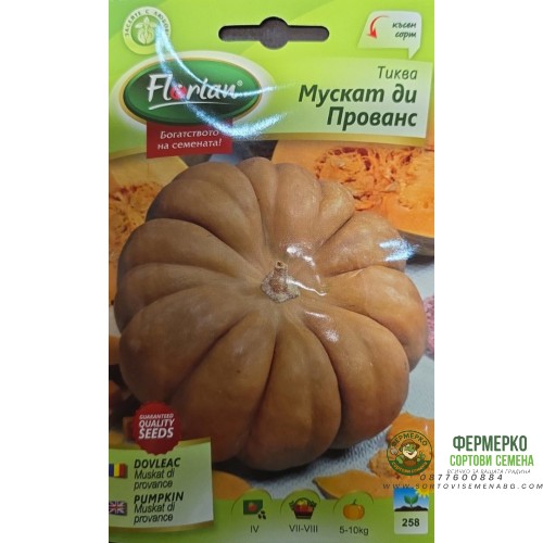 Тиква Мускат Ди Прованс
