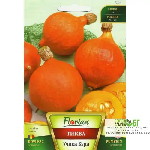 Тиква Учики Кури
