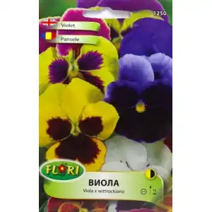 Виола (Теменужка) микс